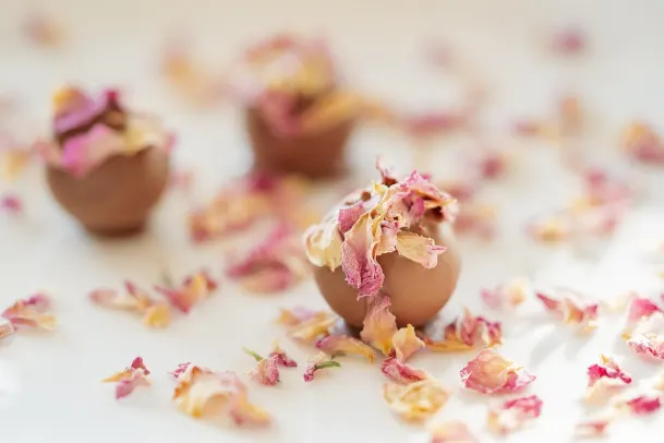 Kasino Palm Slots Android/iOS Sovellus